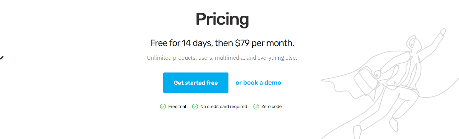CustomerHub Pricing Plan