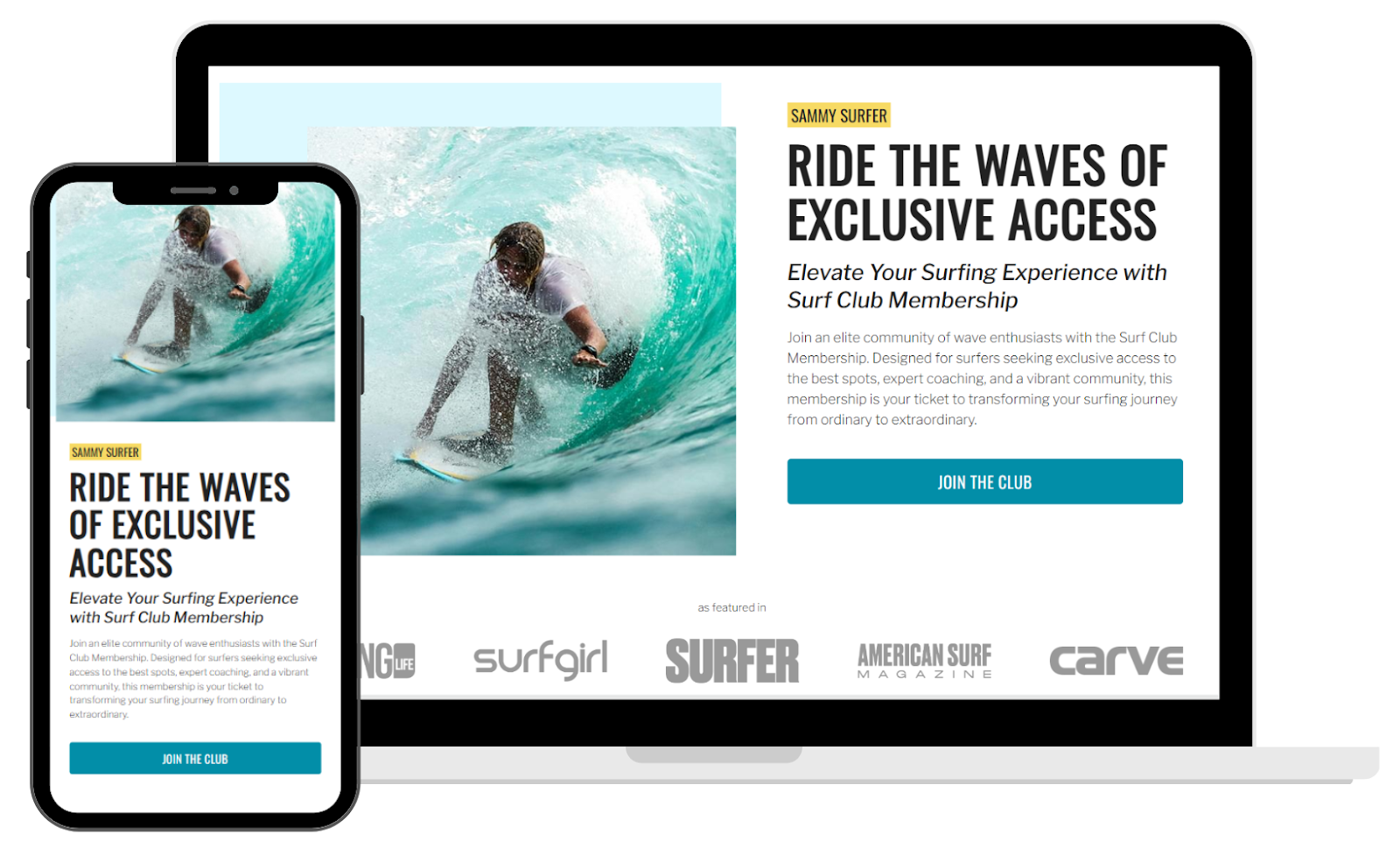 CustomerHub's sales-optimized pages